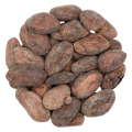 Kakao ziarno całe surowe