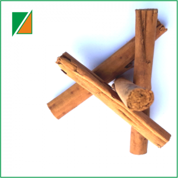 Cynamon cejloński laski