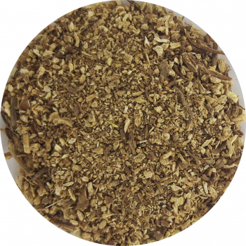 Arcydzięgiel korzeń cięty