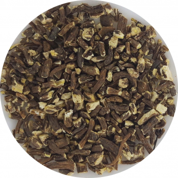 Mniszek lekarski korzeń