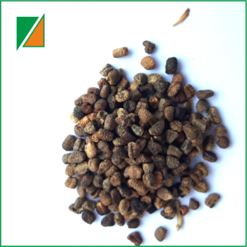 Kardamon cały łuskany