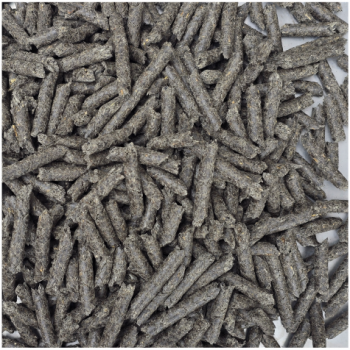 Makuchy słonecznikowe