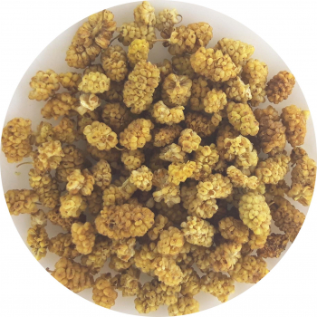 Morwa biała suszona- owoc