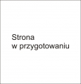 Herbata czarna Yunnang GT liść